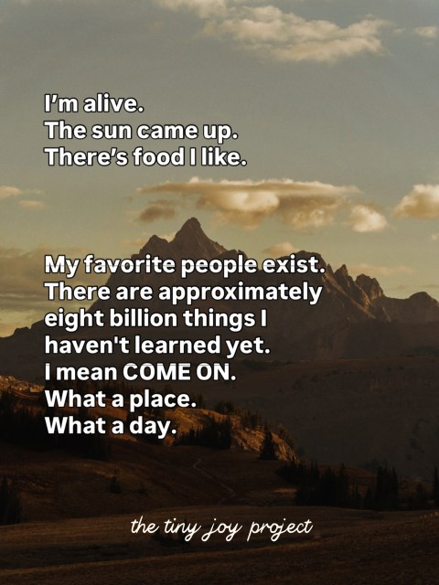 And somehow this is all just… available to us.