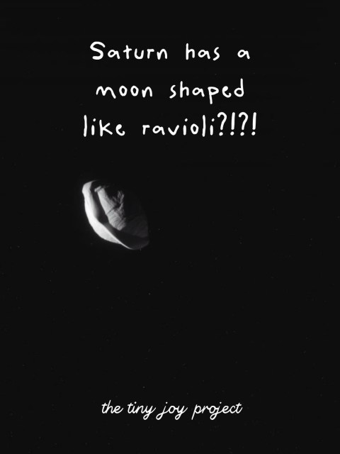 Every once in a while I learn something about space that makes me wonder why we’re all behaving so normally.

SATURN HAS A RAVIOLI MOON.
A ravioli. Moon.

His name is Pan and I would like everyone to give it the attention it deserves.