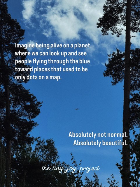 People flying toward new cities, old homes, fresh starts, tiny hotel soaps, and lives they haven’t met yet.